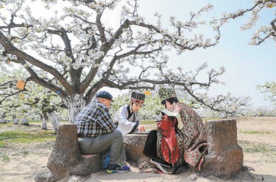 京郊花海迎来观赏季(图1)