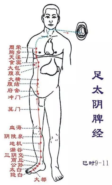 你的脾脏健康吗？八大健脾误区(图3)