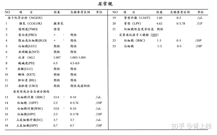 100条肾脏真相，你可能误解了大半！分享给更多(图5)