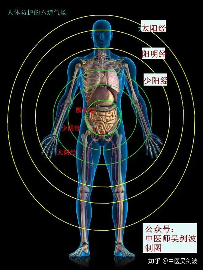 脾肿大、肝硬化——鳖甲煎丸(图1)