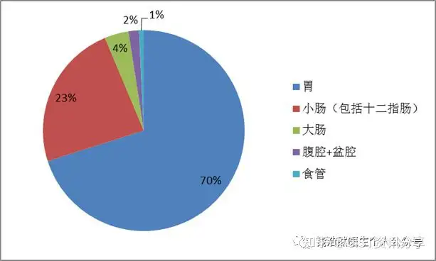 胃肠间质瘤的前世今生：什么是胃肠间质瘤？(图2)