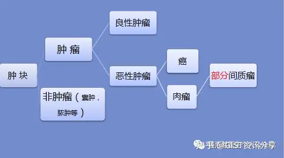 胃肠间质瘤的前世今生：什么是胃肠间质瘤？(图1)