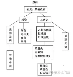 腹泻(图1)