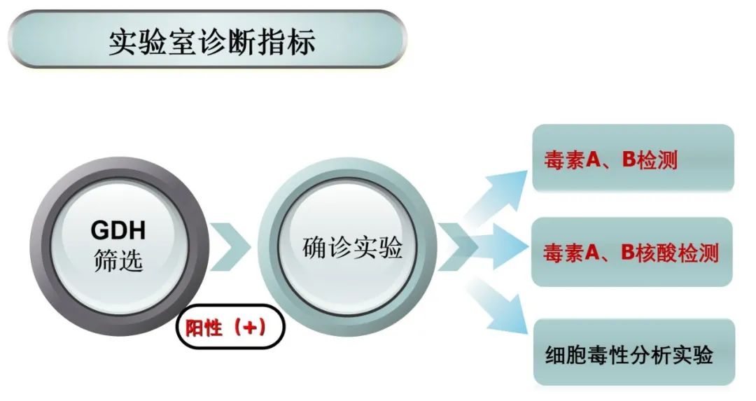 孩子一直腹泻不见好，当心这个细菌感染(图5)