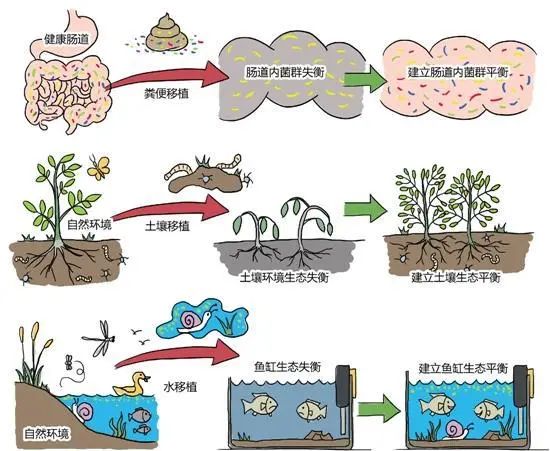 孩子一直腹泻不见好，当心这个细菌感染(图11)