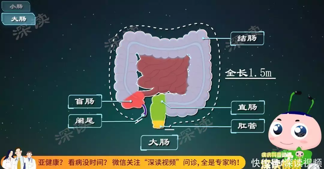 肠梗阻咋回事？拉不出屎背后真相是啥？肠梗阻(图2)