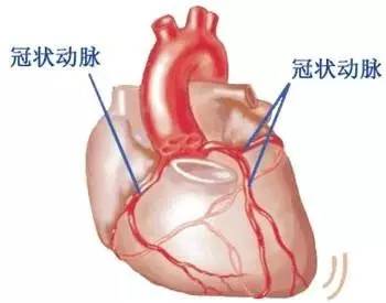 这种疼法才是心绞痛，别再搞错了！掌握五步急(图2)