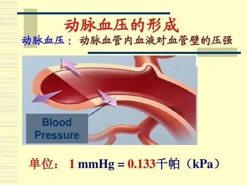 什么是血压？什么是高血压？为什么要重视高血(图2)