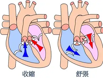 什么是心力衰竭？什么症状？怎么治疗？看这篇(图1)