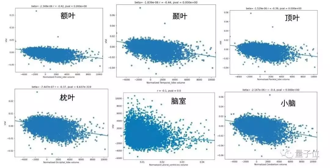 肚子越大，大脑萎缩越严重！还可能增加痴呆风(图7)