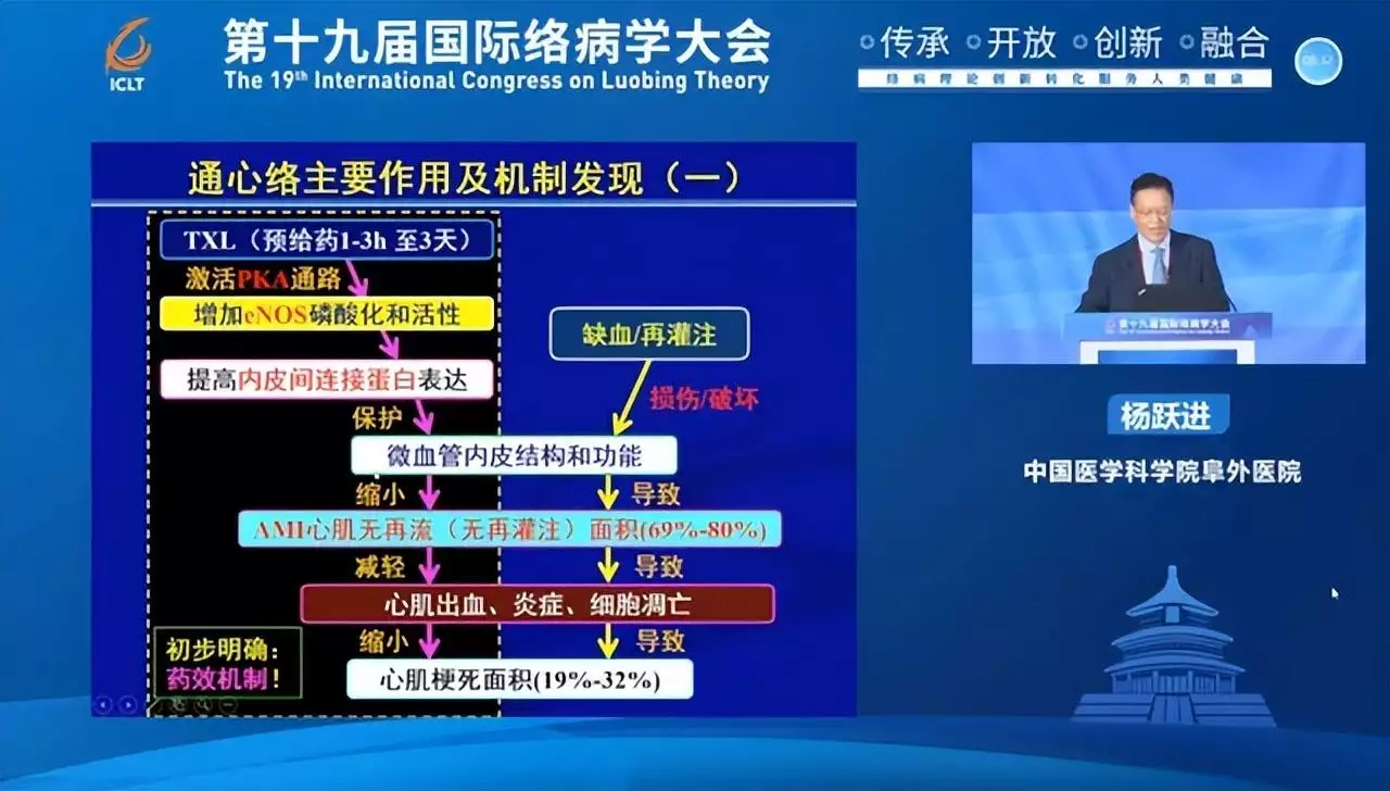 杨跃进教授:通心络临床应用五大指征,开启急性心(图3)