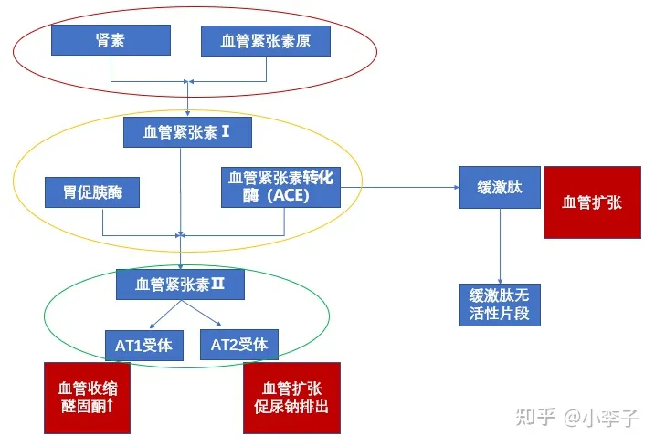 治高血压的最好方法是什么？(图3)