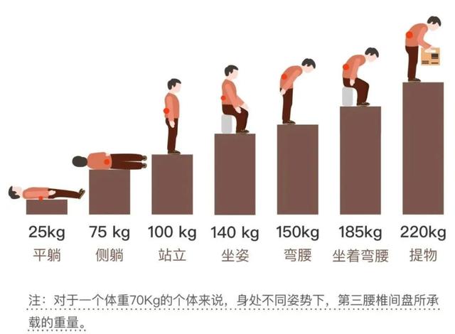 体医科普｜腰椎间盘比业绩更突出？五种锻炼方(图2)