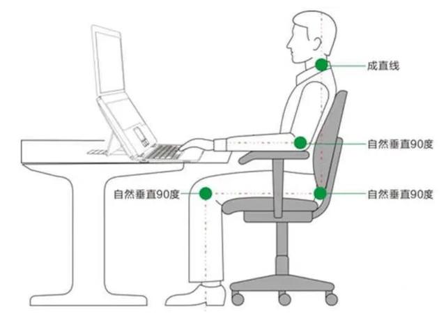 体医科普｜腰椎间盘比业绩更突出？五种锻炼方(图3)