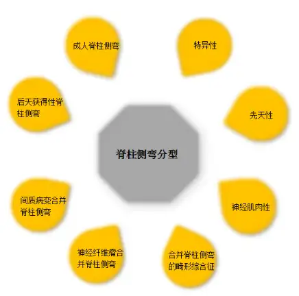 脊柱侧弯的简介和案例分析(图2)