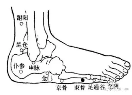 什么是肩周炎？如何调理(图4)