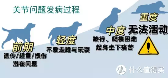 狗狗关节补剂，看这一篇不被坑：什么时候买？(图7)