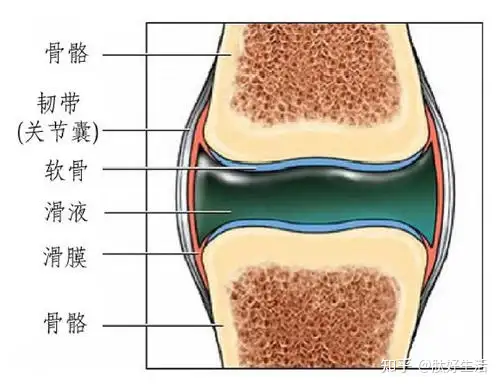 髌骨关节炎如何理疗,方法有哪些？(图1)