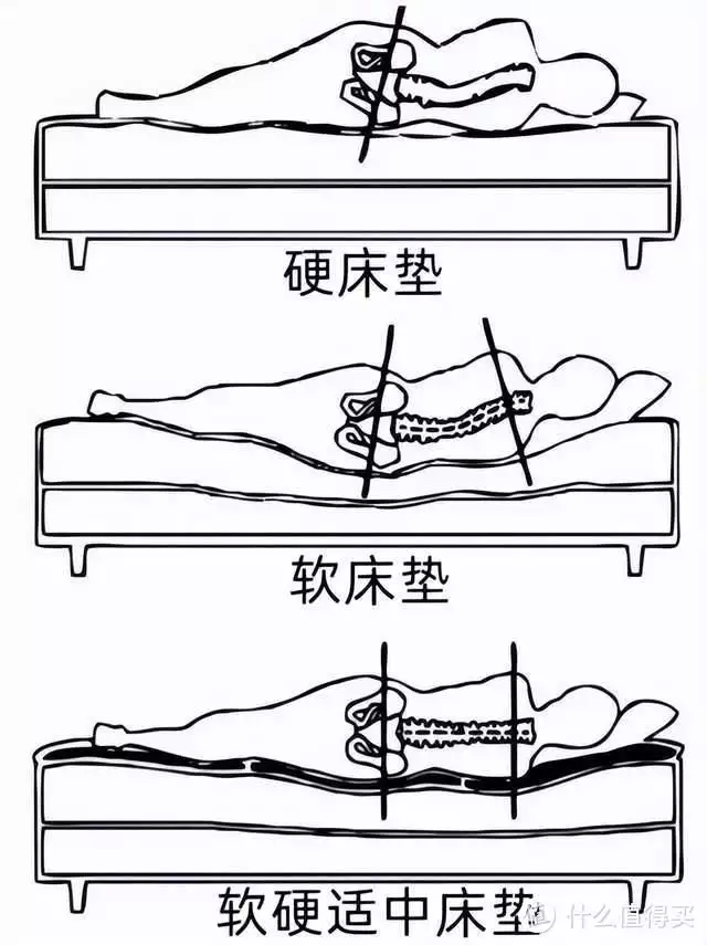 居家get燃脂运动 篇十四：5个动作缓解腰痛，增强(图12)