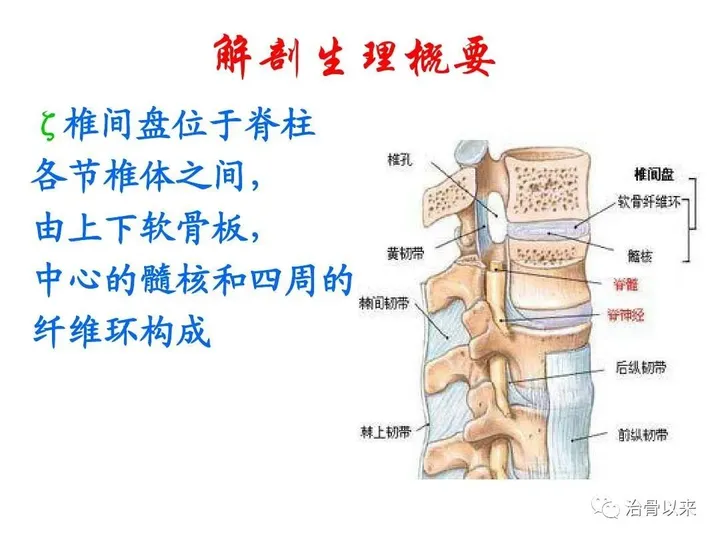 唯一一个治腰突的秘方，十天治好腰椎间盘突出(图2)