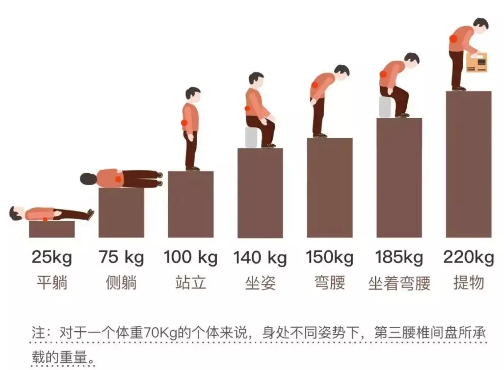 体医科普 | 腰椎间盘比业绩更突出？五种锻炼方(图2)