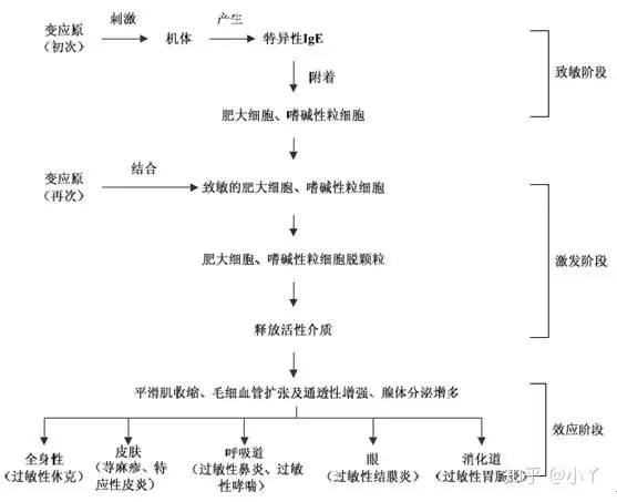 荨麻疹的预防(图2)