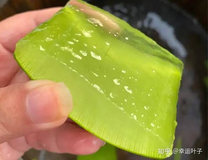 酒糟鼻怎么治？(图9)