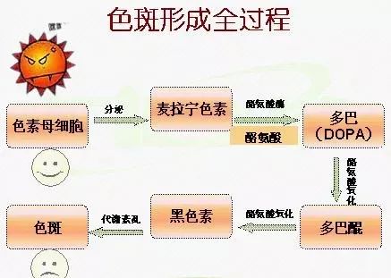 想要祛斑？先要预防黑色素沉着(图7)