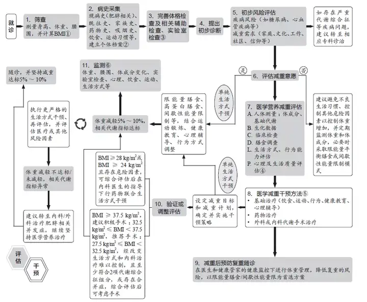 如何有效减肥？怎么吃才能减肥？(图5)