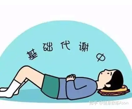 如何能健康正确科学的减脂?(图2)