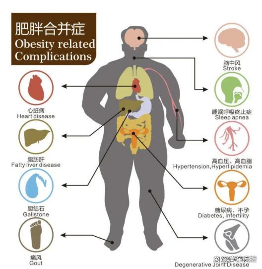 贾玲减了100斤冲上热搜！暴瘦不可取，想科学减(图8)