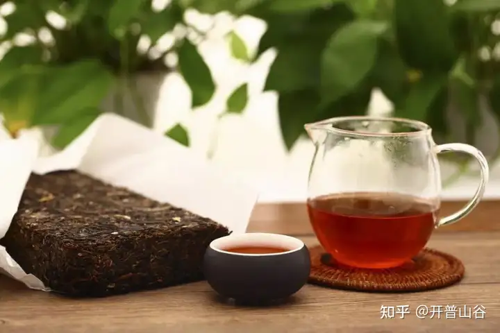 什么茶可以降脂和减肥？(图1)