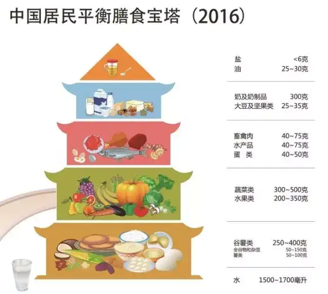 【减肥营养餐】超详细的减肥餐食谱！碳水+蛋白(图1)