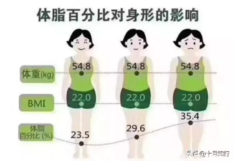 减肥，饮食更重要还是运动更重要？答案只是看(图9)